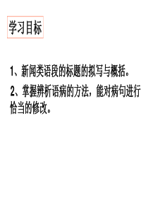 信息的提炼与概括(公开课)