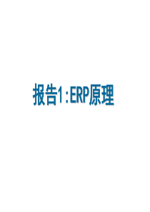 报告1erp基本原理