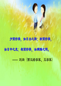 《认识扇形统计图》课件