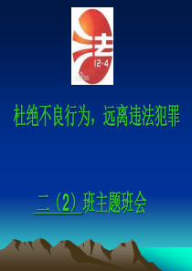 小学生法制教育主题班会ppt课件