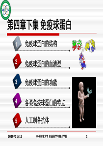 免疫学精选课件04-2免疫球蛋白