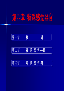 人体解剖生理学——第四章特殊感觉器官