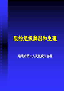 眼的解剖生理最全课件