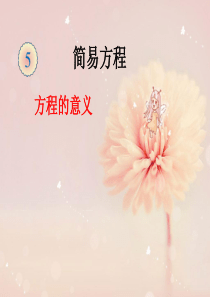 简易方程(方程的意义)