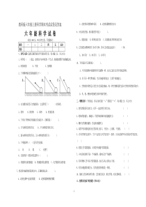 教科版六年级上册科学期末考试试卷及答案