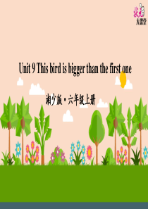 六年级上册Unit-9-This-bird-is-bigger-than-the-first-one