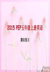 新版PEP英语五年级上册期末总复习资料