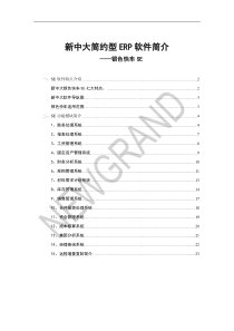 新中大简约型erp软件简介