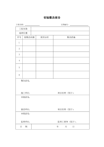 19-初验整改报告