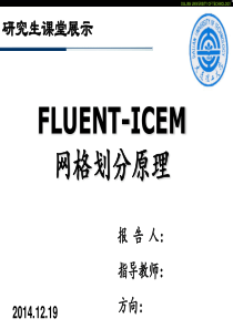 大连理工大学FLUENT-ICEM界面讲解以及快捷键