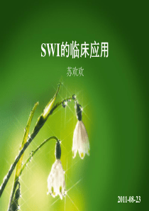 SWI的临床应用