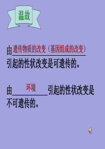 20-6遗传病和人类健康