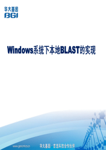 Windows系统下本地blast