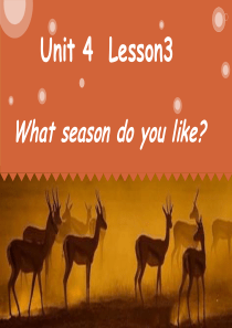 四年级英语上册U4L3-what-season-do-you-like