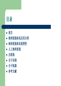 【2019年整理】纳米组装简介