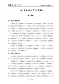 论中小企业核心竞争力的培养