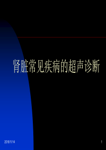 肾脏常见疾病的超声诊断