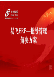 易飞erp批号管理方案