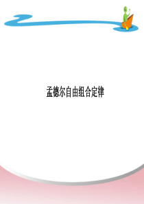 基因自由组合定律一轮复习(绝对好用)模板