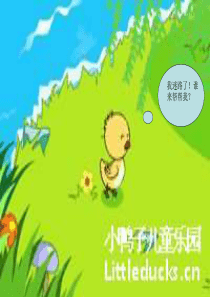 《迷路的小花鸭》PPT课件.