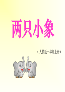 两只小象-课-件