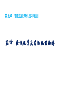 降低化学反应活化能的酶——优质课件