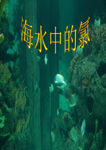 2.2海水中的氯