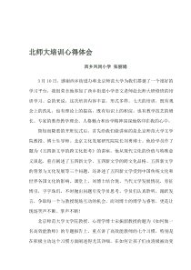 北师大学习心得体会