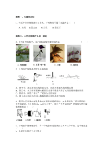 八年级-光现象经典考试题型总结(有解析)