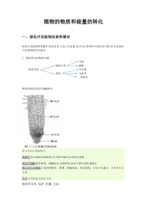 植物的物质和能量的转化