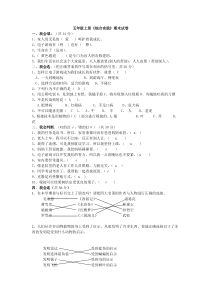 五年级上册综合实践期末试卷文档