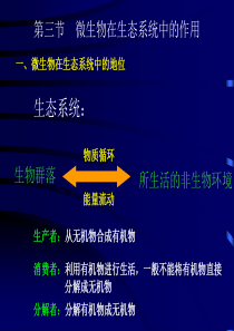 微生物在生态系统中的作用