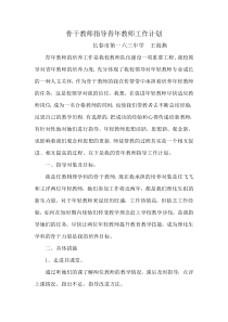 骨干教师指导青年教师工作计划