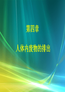 七年级生物下册第四章人体内废物的排出课件济南版