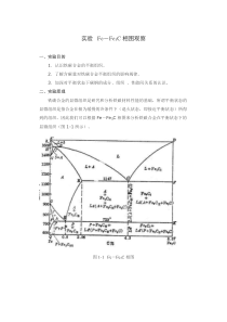 实验-铁碳合金平衡组织观察