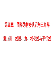 2015中考数学全景透视复习课件-第16讲线段、角、相交线与平行线