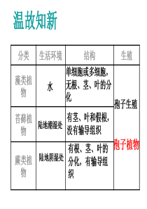 种子植物PPT