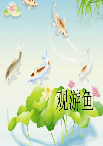 观游鱼