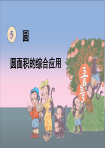 圆的面积-解决问题(例3)教学课件