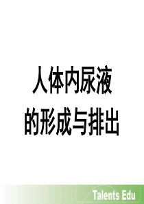 人体内尿液的形成与排出