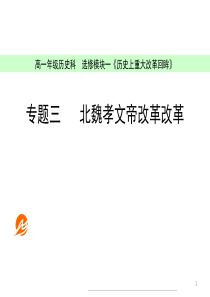 用：1：3《北魏孝文帝改革改革》(人民版选修1)