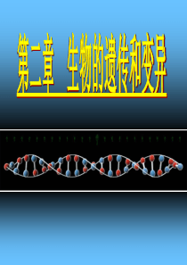 基因控制生物性状.ppt