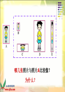 《生活中的比》PPT