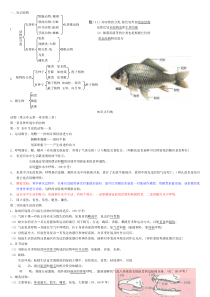 八年级生物上册知识点总结