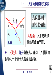 反射光和折射光的偏振知识