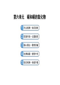 (人教版)2013年中考化学专题复习课件：第六单元-碳和碳的氧化物