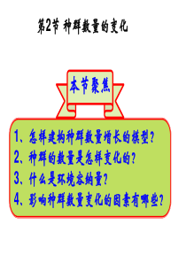 种群的数量变化(很实用)分析