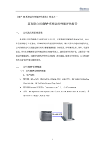 某有限公司ERP系统运行性能评估报告（PDF 8）