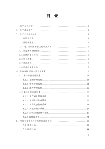 某某信息技术有限公司ERP解决方案（doc44)