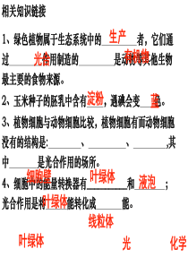 第四章《绿色植物是生物圈中有机物的制造者》课件